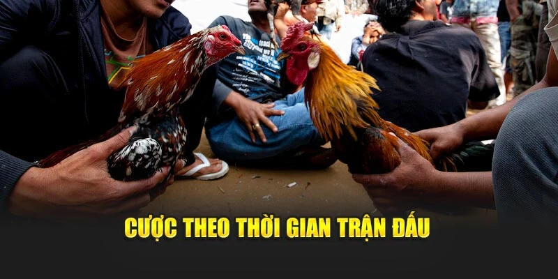 Cược theo thời gian trận đấu