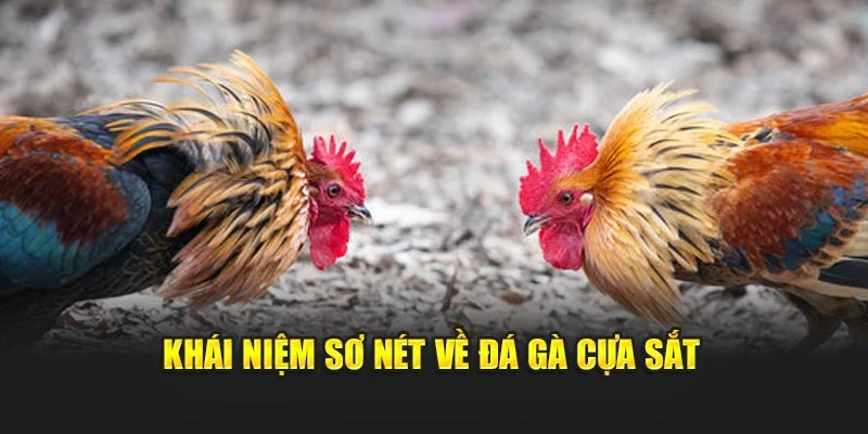 Khái niệm sơ nét về đá gà cựa sắt