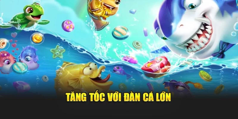 Tăng tốc với đàn cá lớn